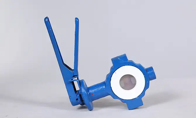 lined butterfly valve
